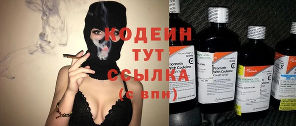дживик Бронницы