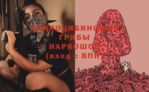 дживик Бронницы