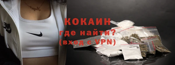 дживик Бронницы