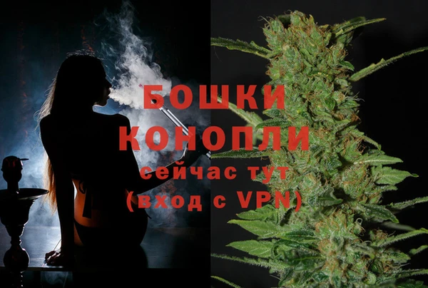 дживик Бронницы