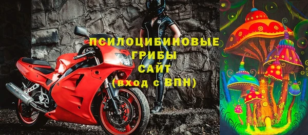 а пвп мука Бородино