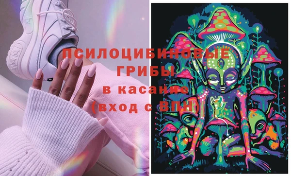 а пвп мука Бородино